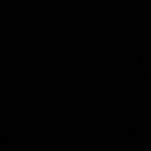 Pink Victoria Secret No Show thong XXL